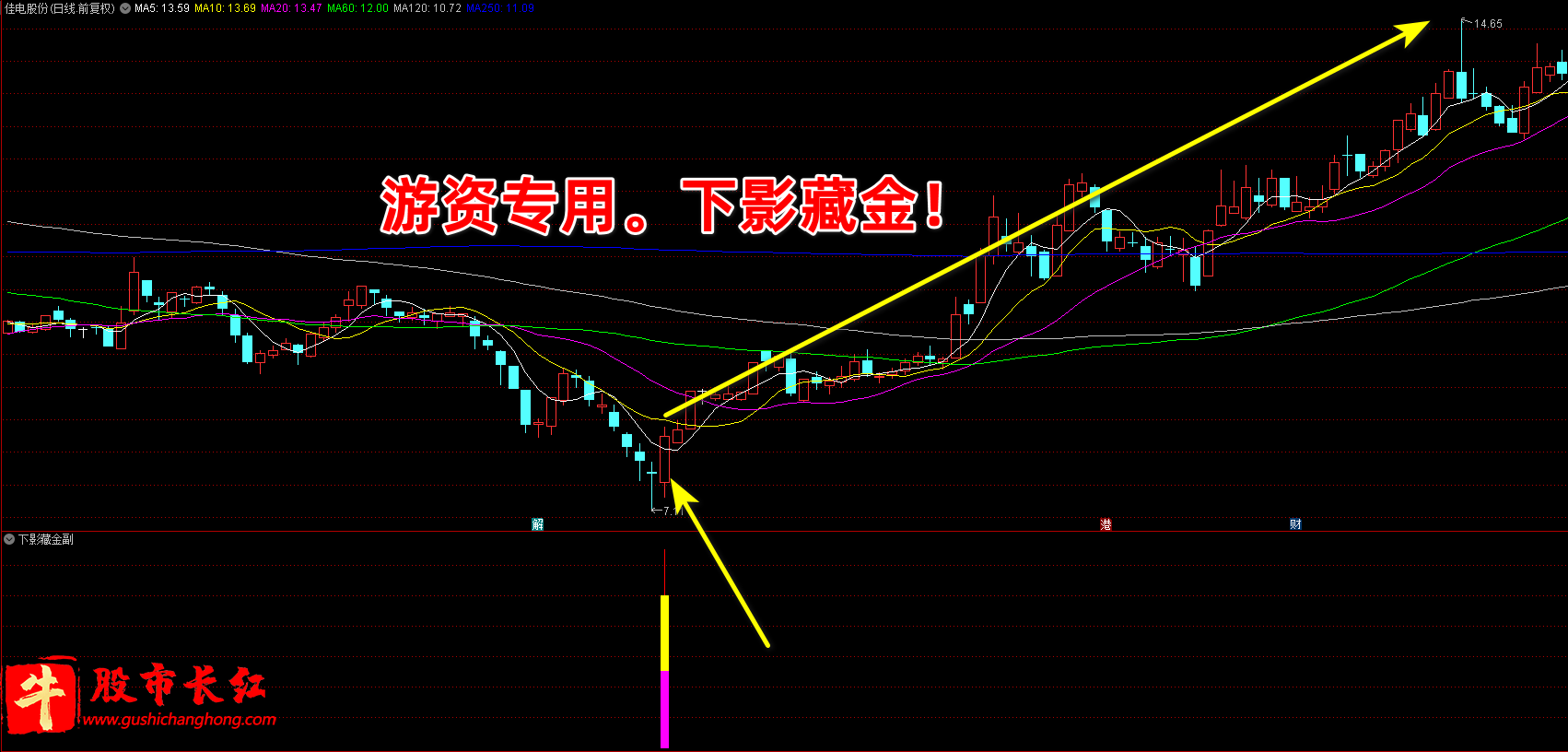 下影藏金指标