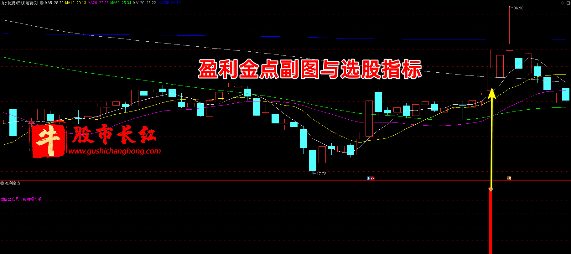 盈利金点副图指标