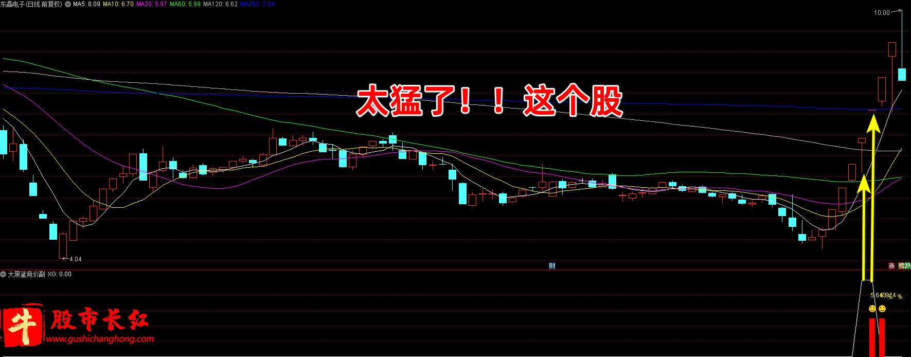 大黑鲨竞价指标