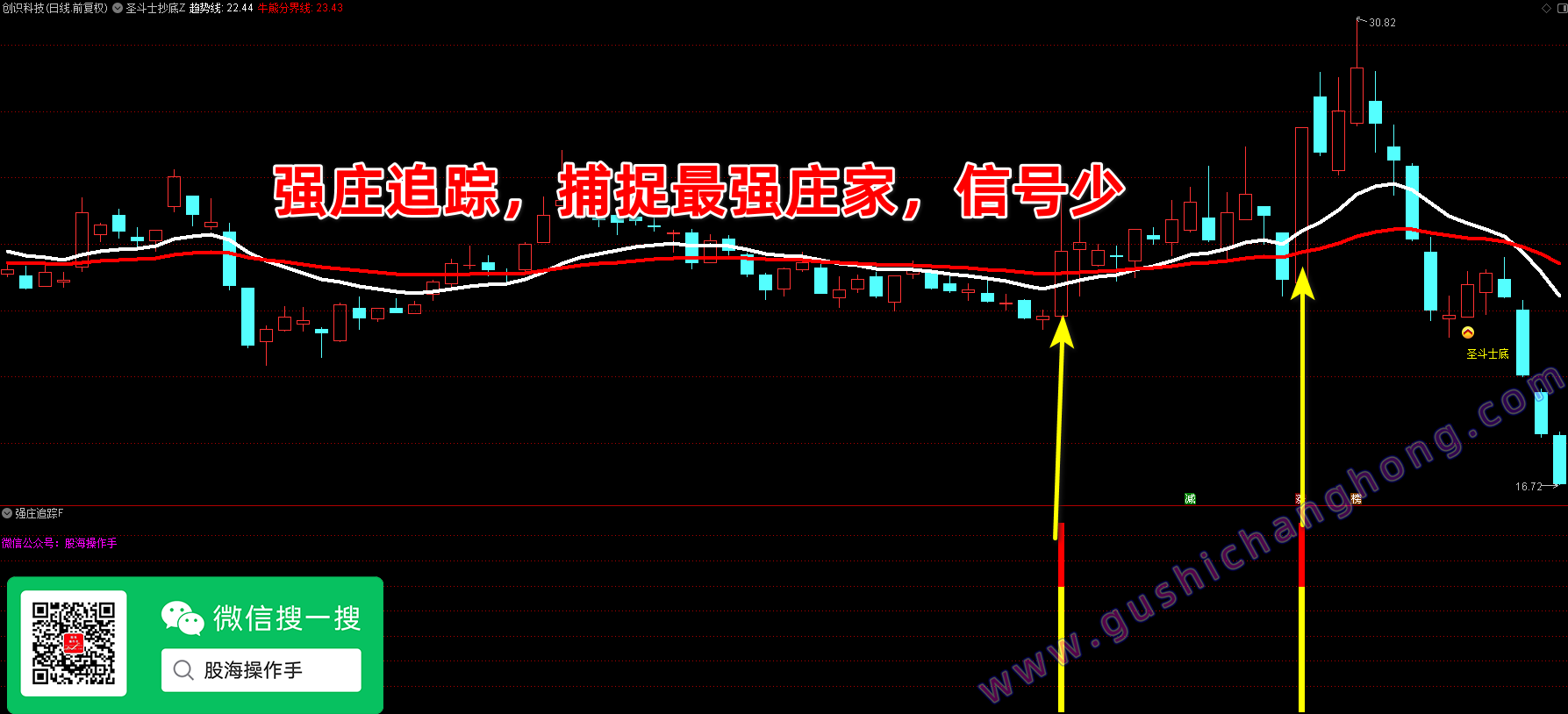 强庄追踪指标