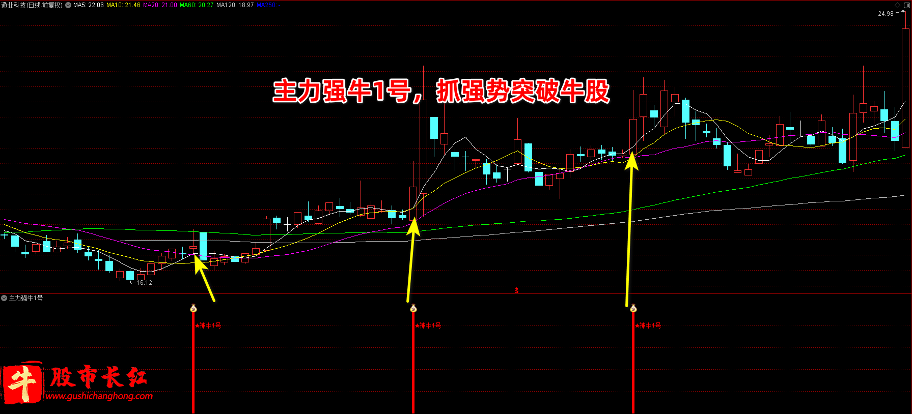 主力强牛1号