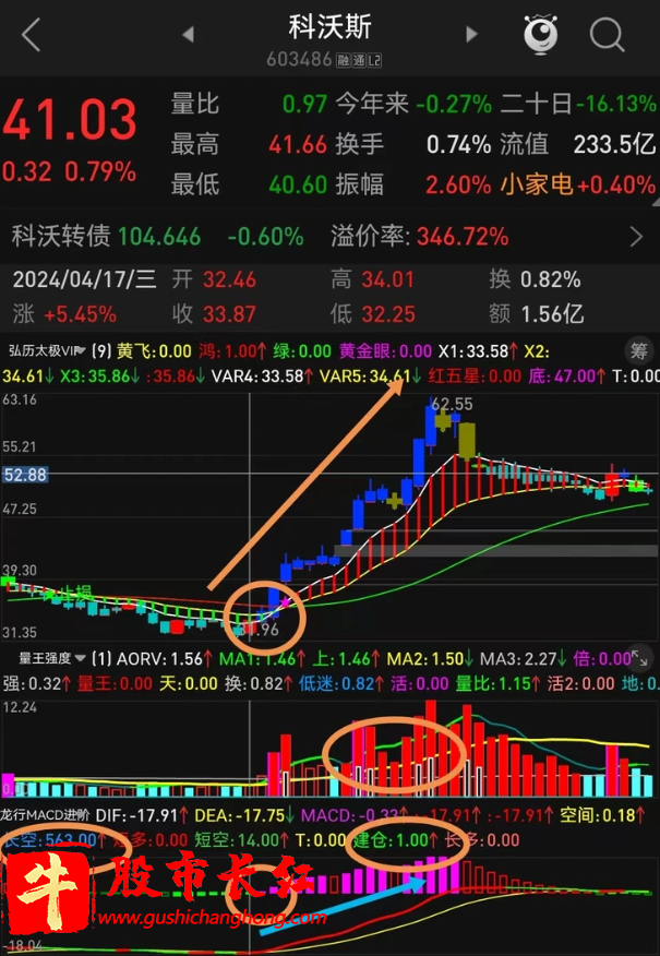 龙行MACD