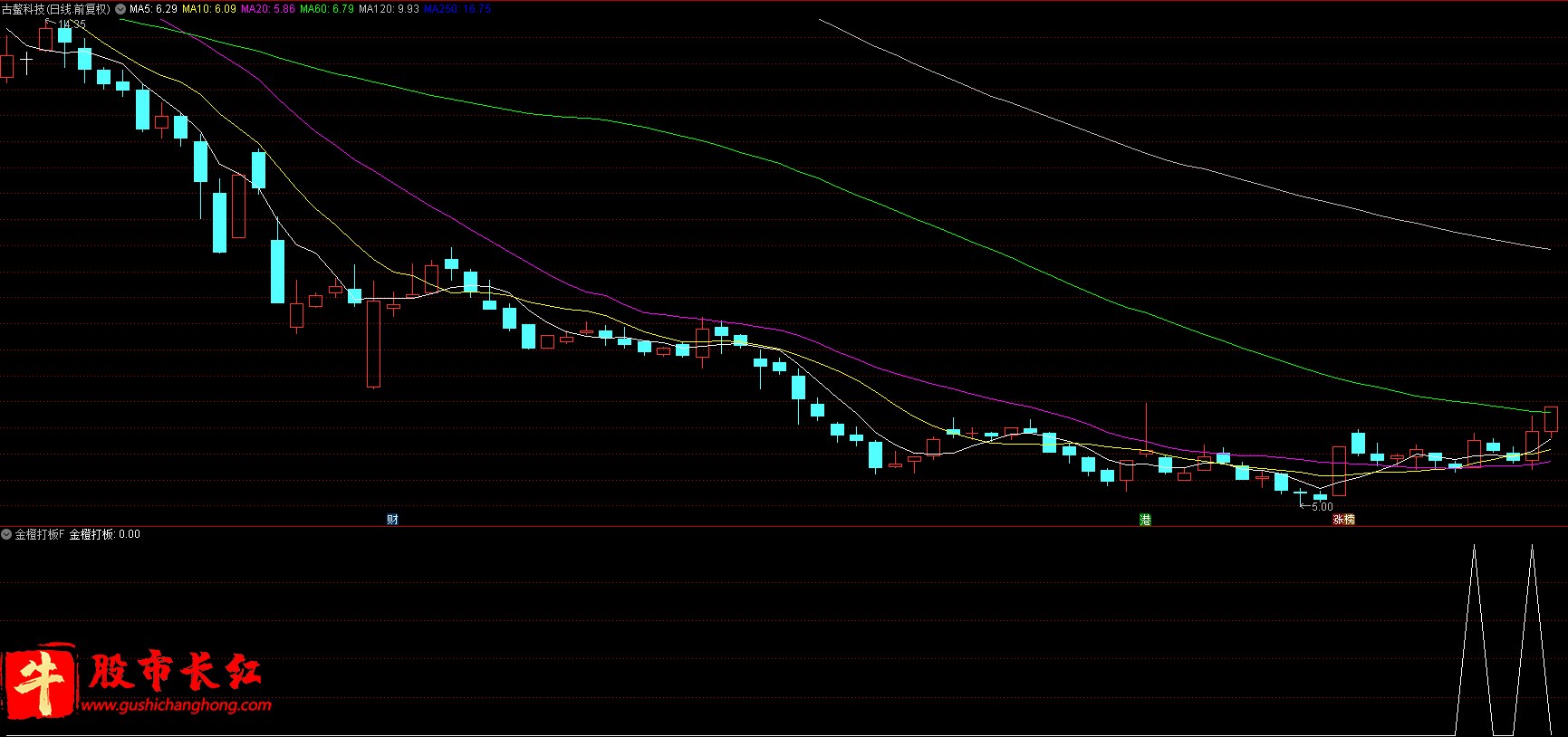 金橙打板指标