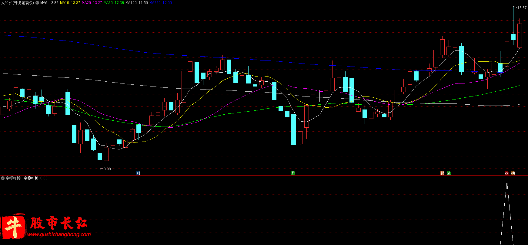 金橙打板指标