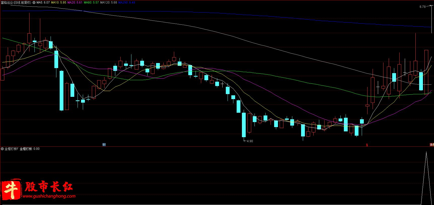 金橙打板指标