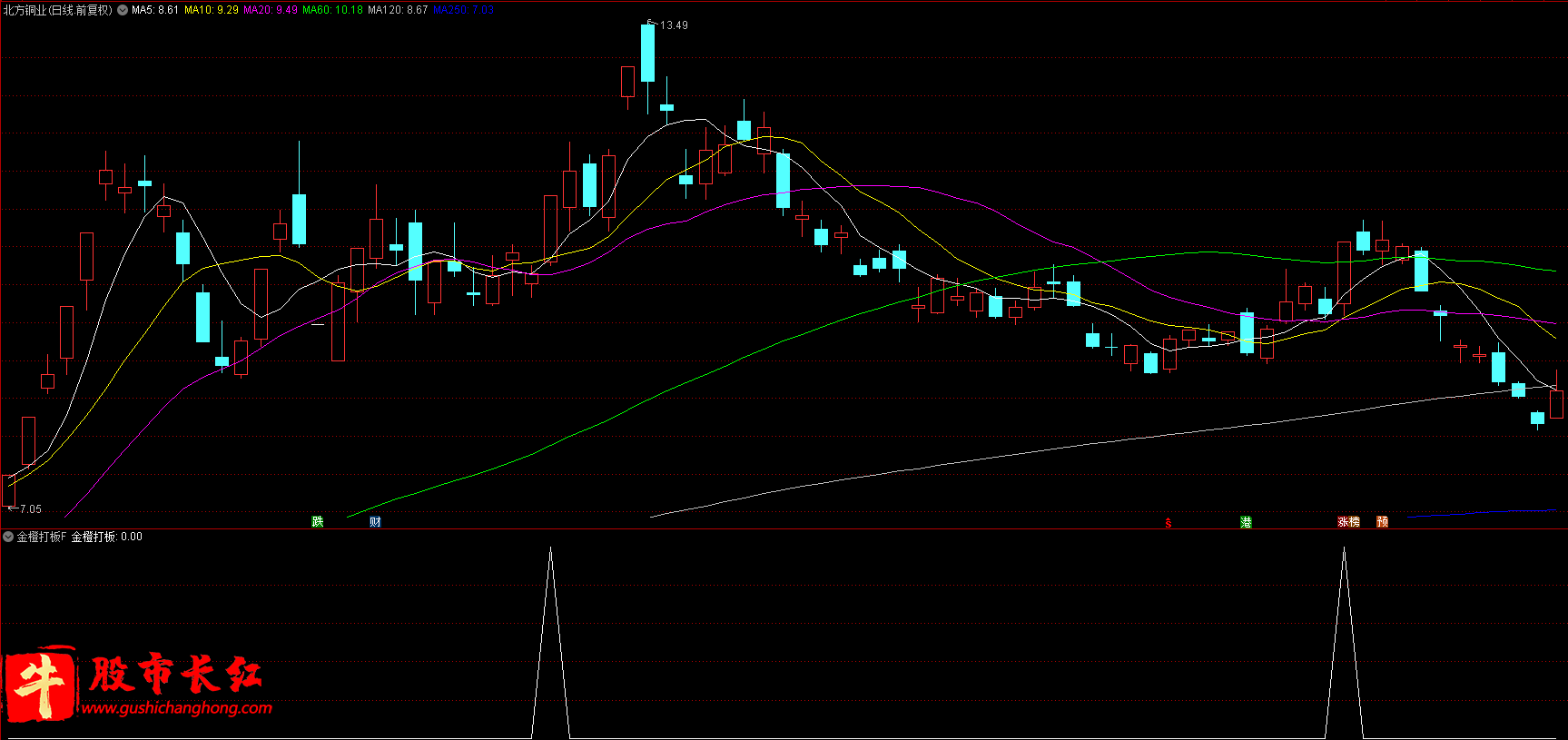 金橙打板指标