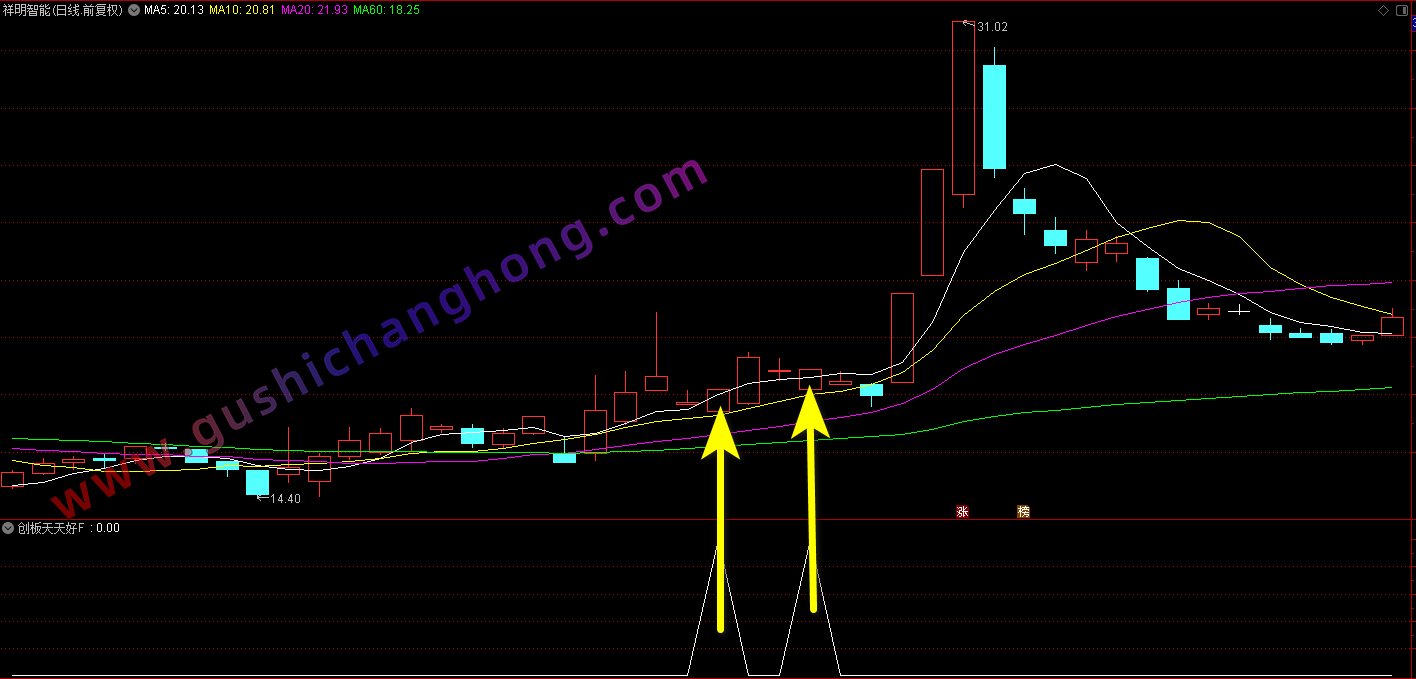 创版天天上指标