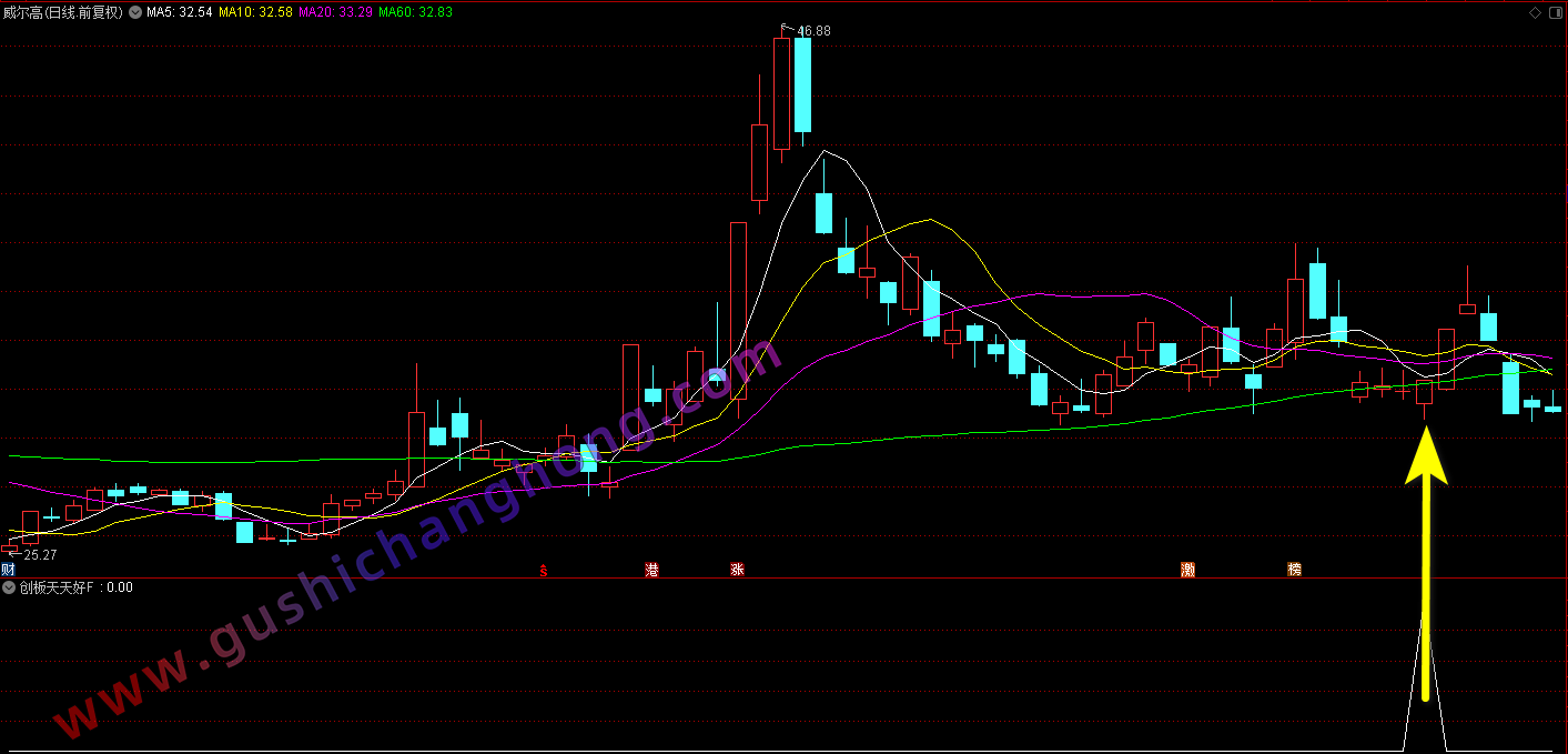 创版天天上指标
