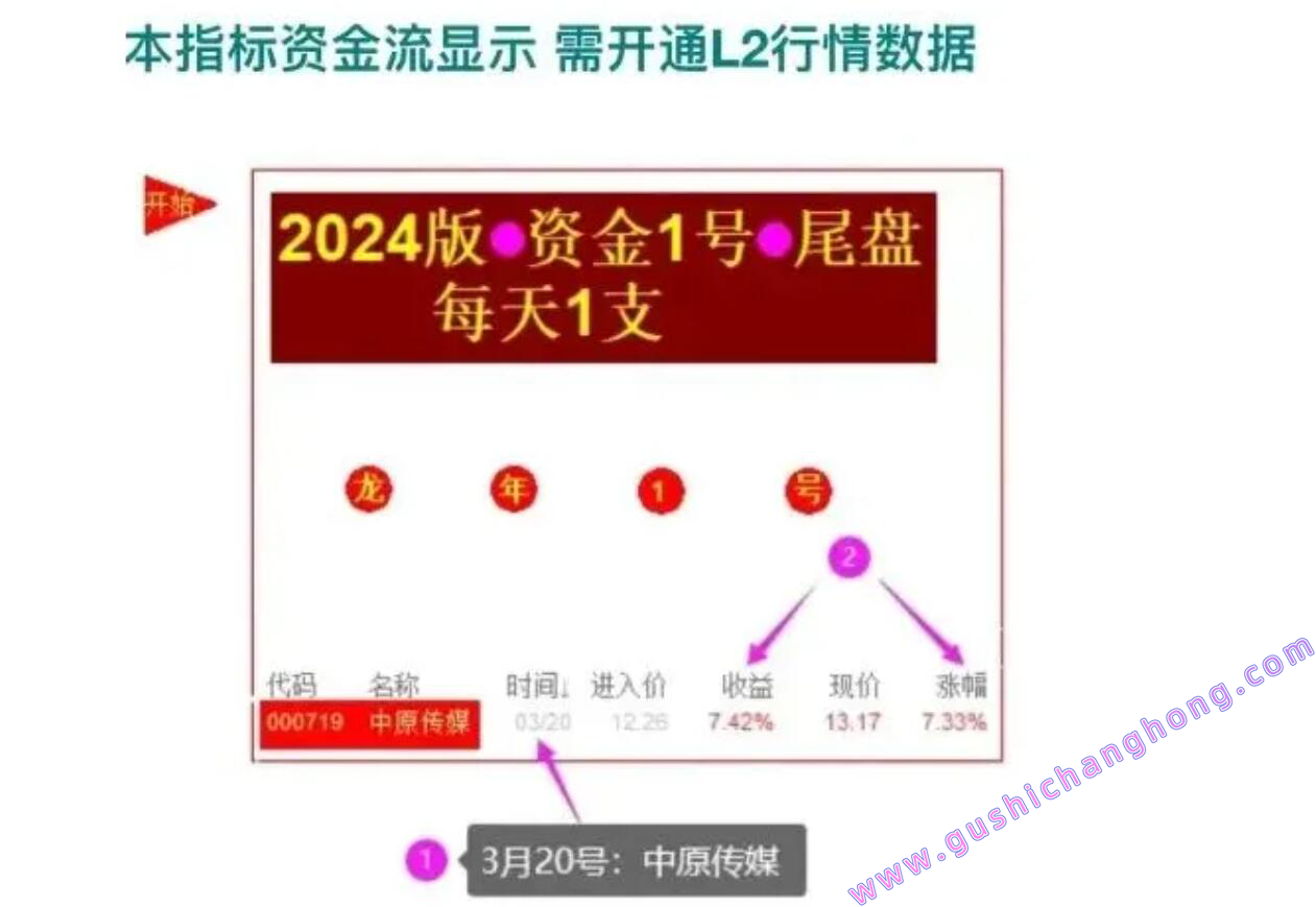 龙年1号指标