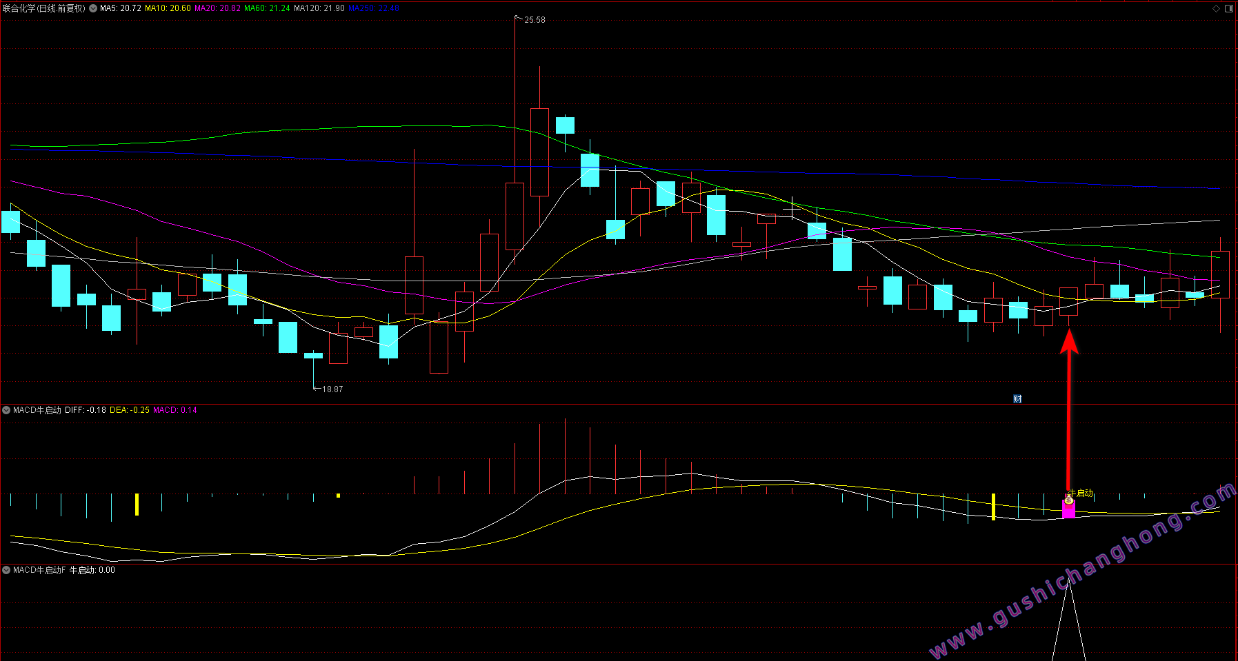 MACD牛启动指标