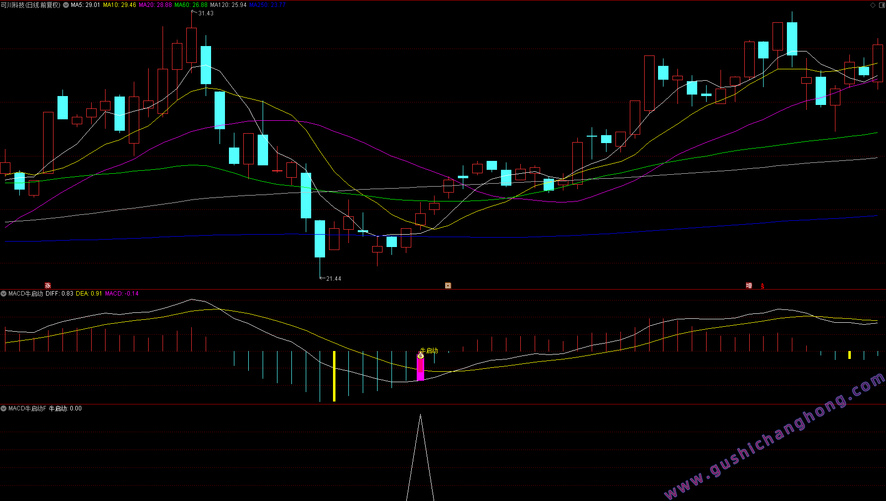 MACD牛启动指标