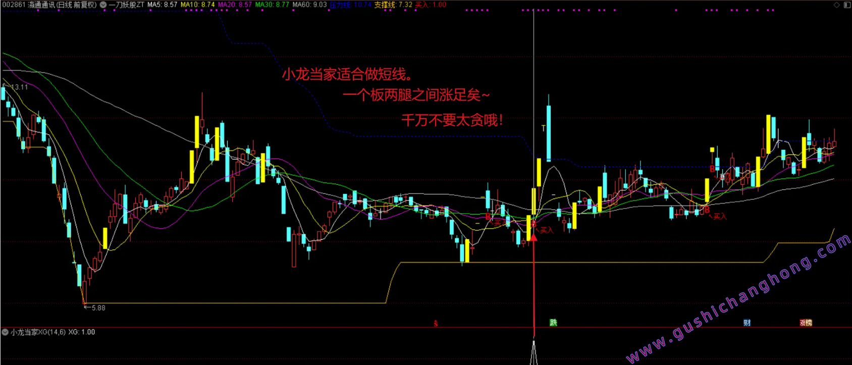 小龙当家指标