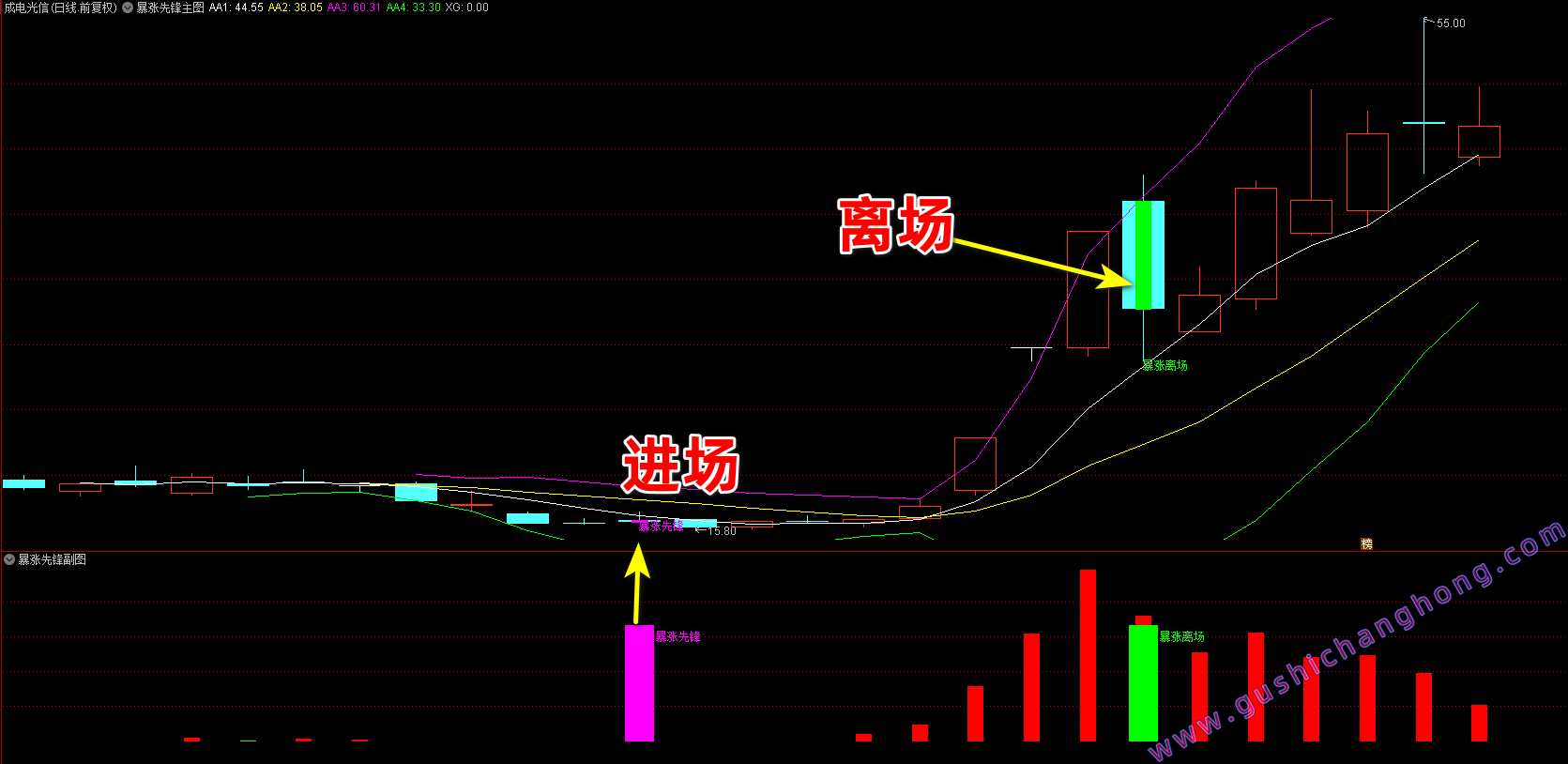 暴涨先锋指标