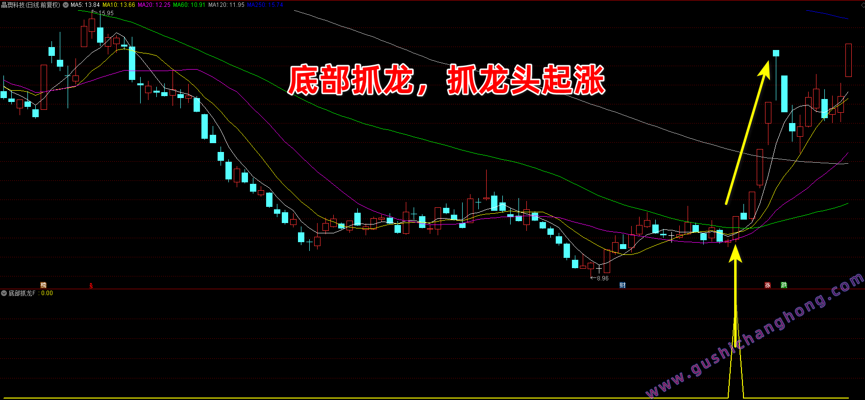 底部抓龙指标