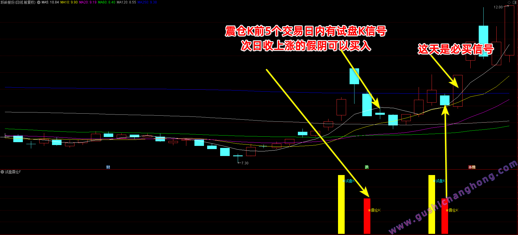 试盘震仓K指标