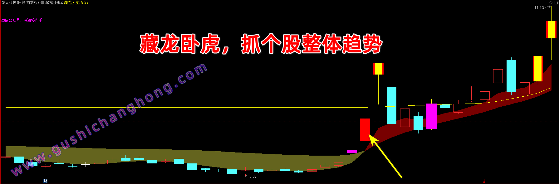 卧虎藏龙指标