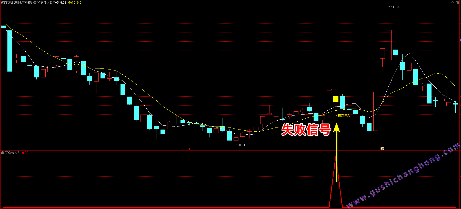 金钻初恋佳人指标