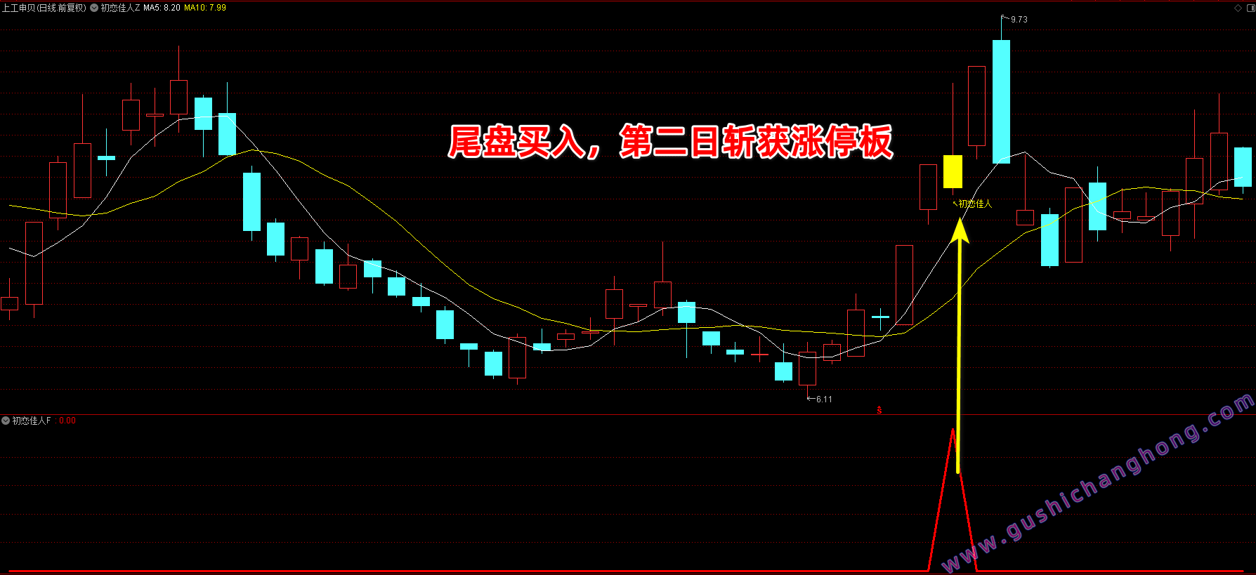 金钻初恋佳人指标