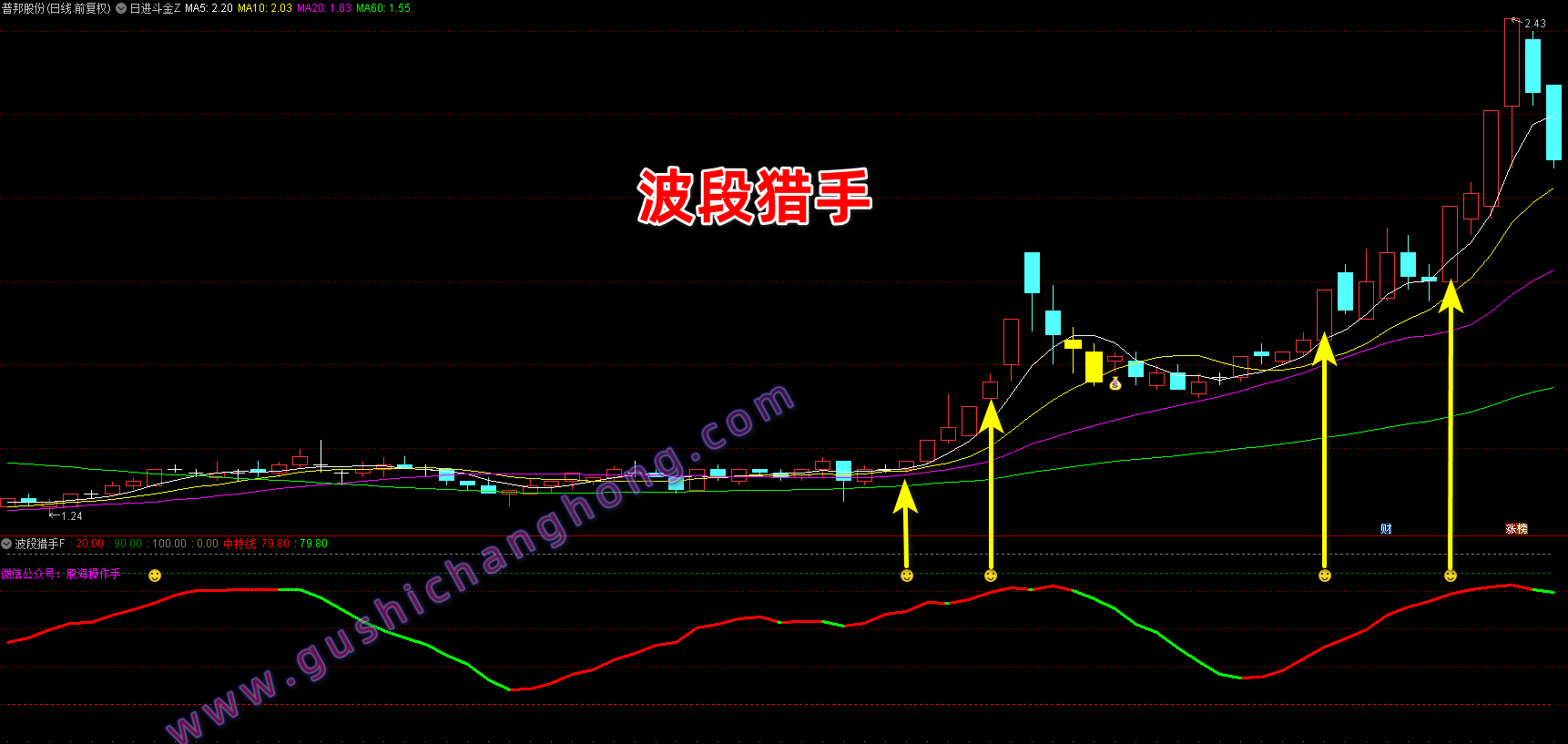 波段猎手指标