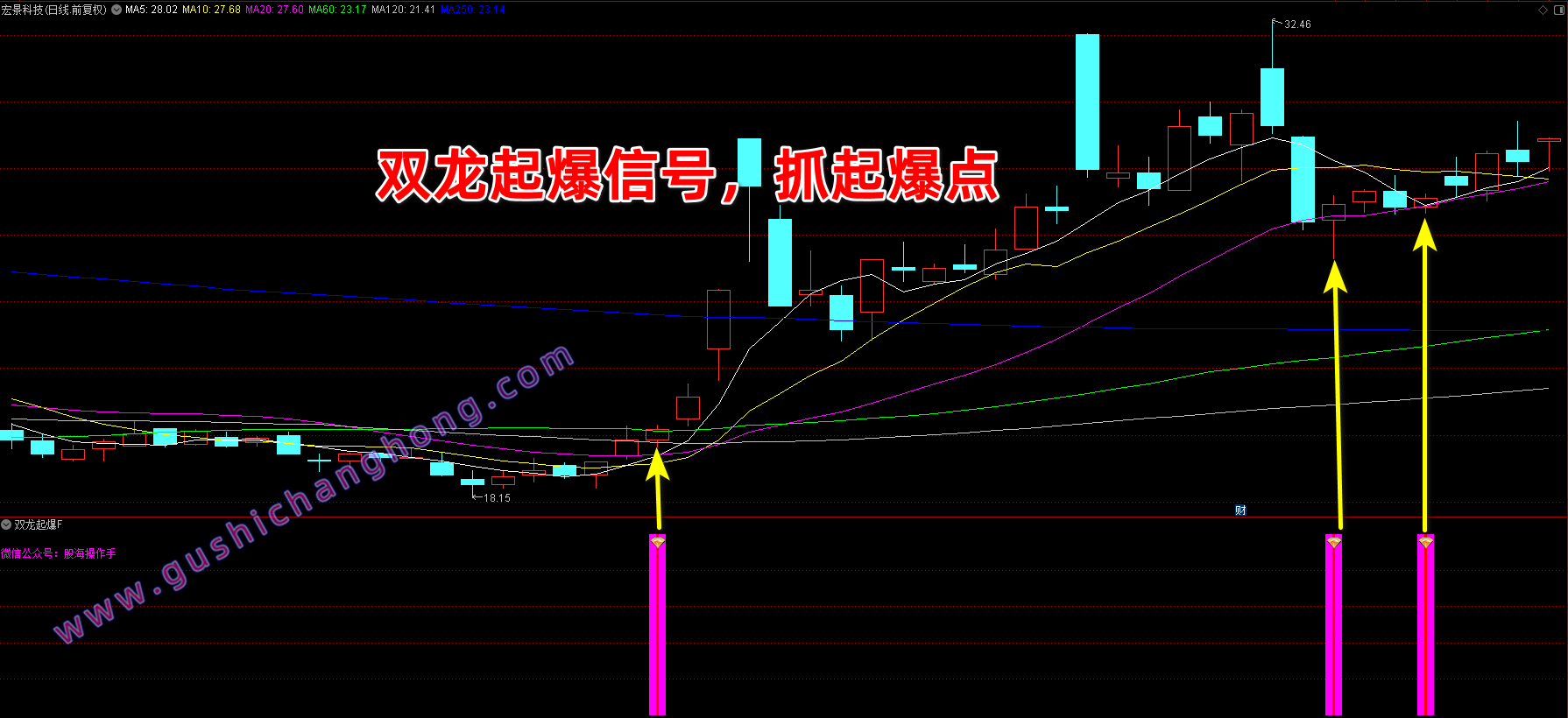 双龙起爆指标