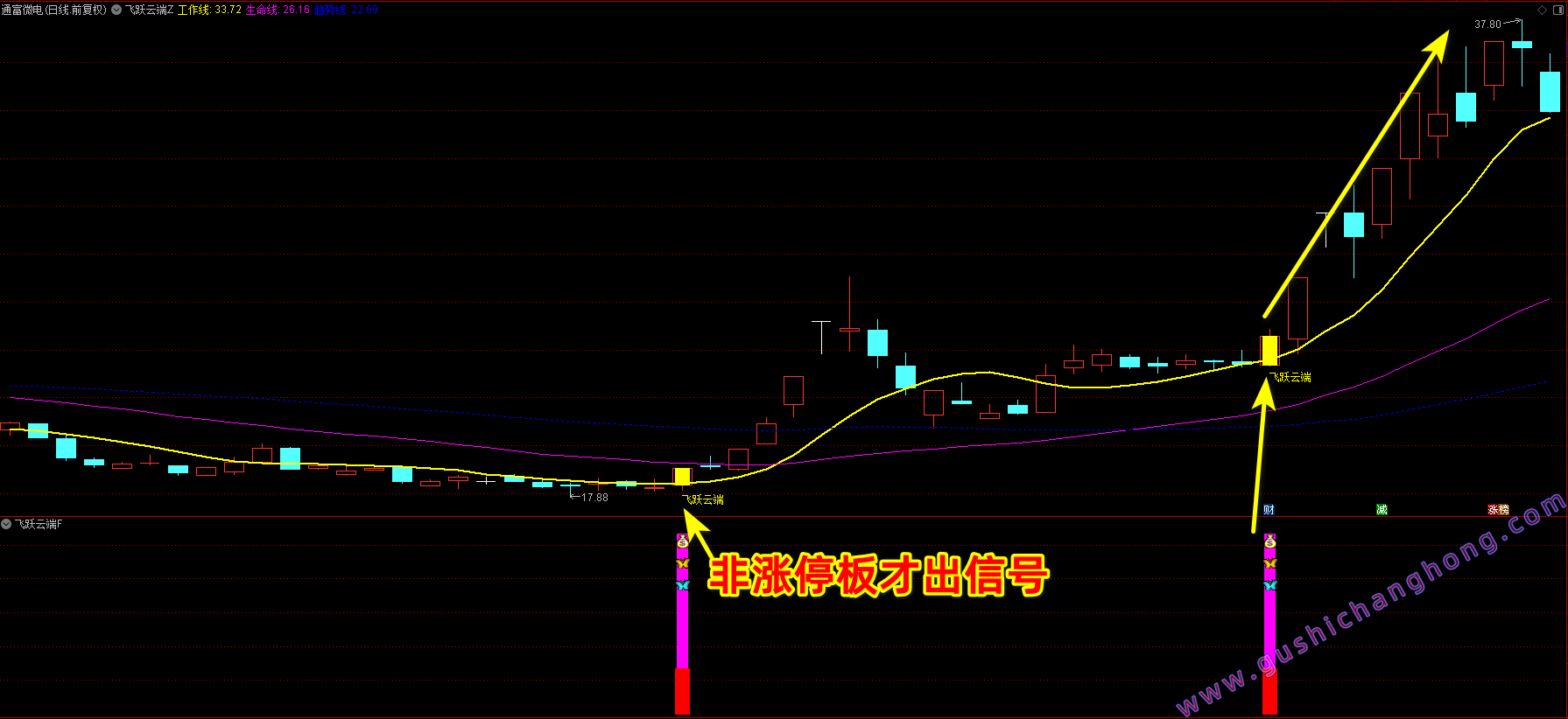 飞跃云端指标