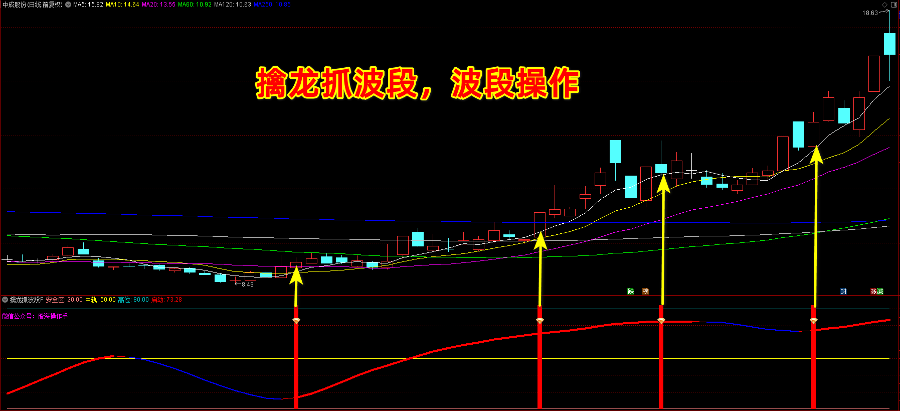 擒龙抓波段指标