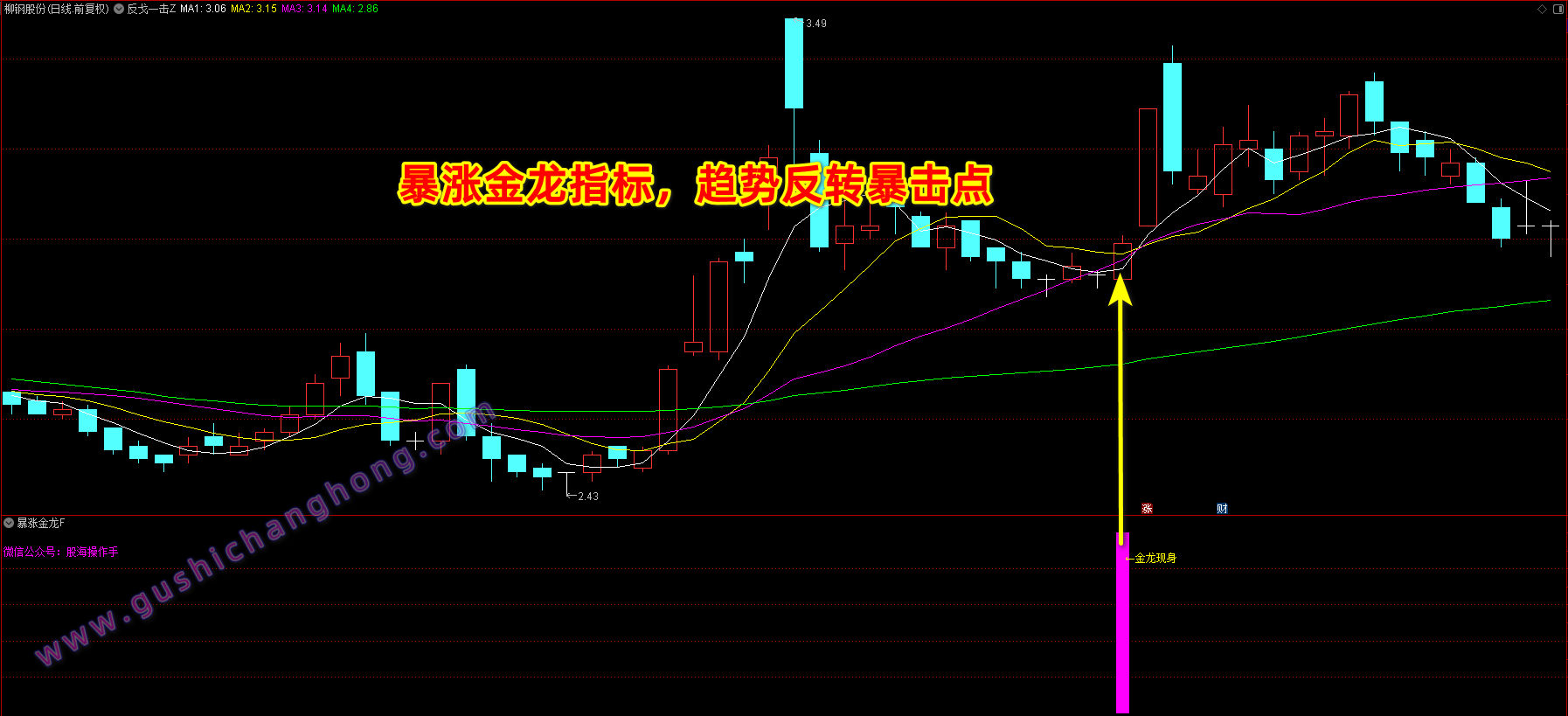 暴涨金龙指标