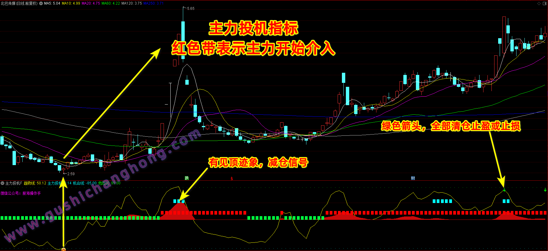 主力投机指标