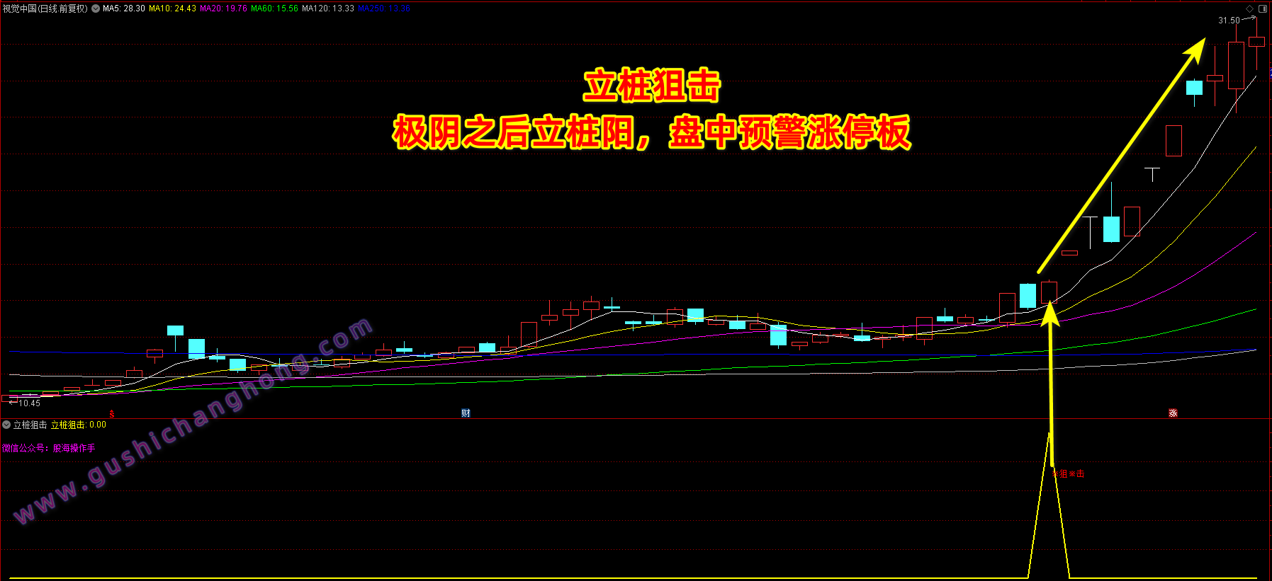 立桩狙击指标