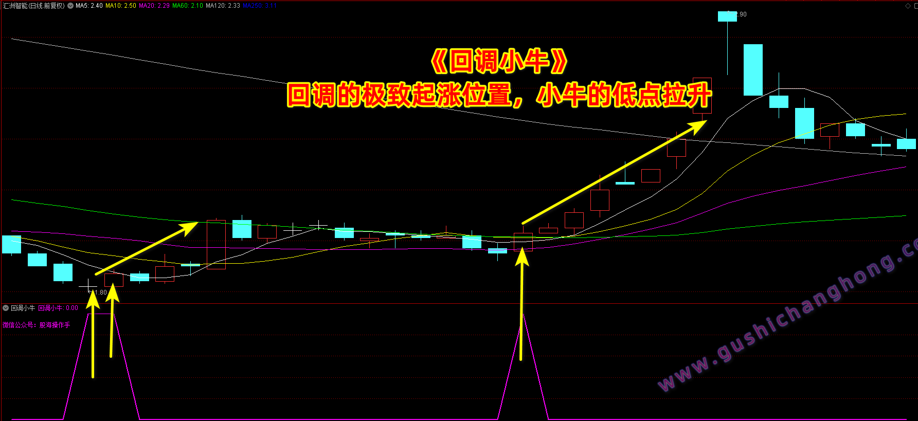 回调小牛指标