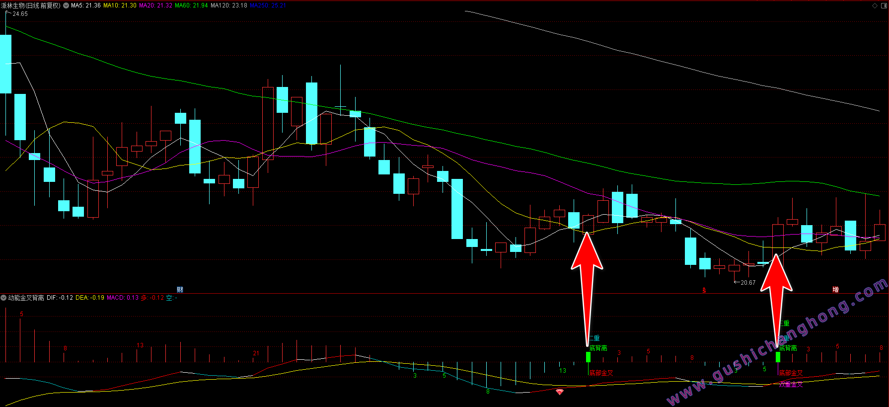 动能金叉背离
