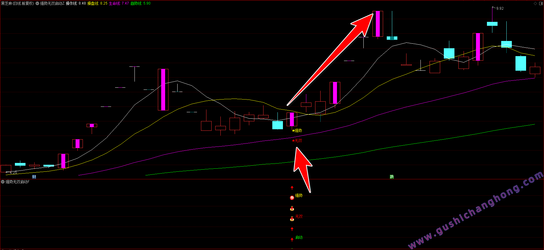 强势无双启动指标