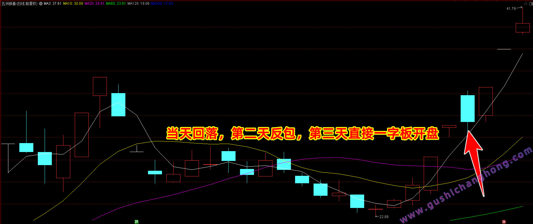 竞价先锋指标