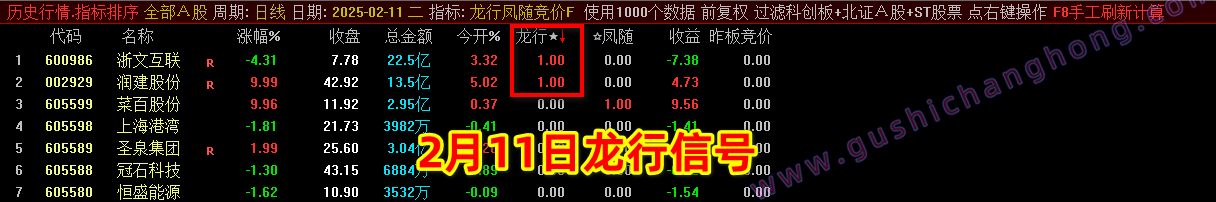 2025龙行凤随指标