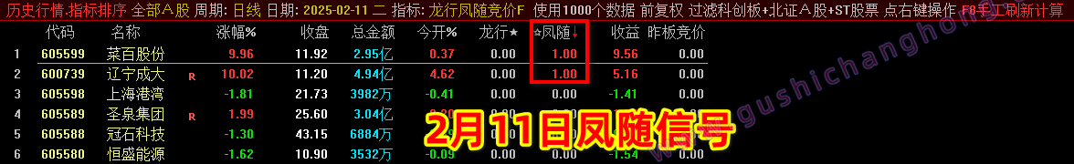 2025龙行凤随指标