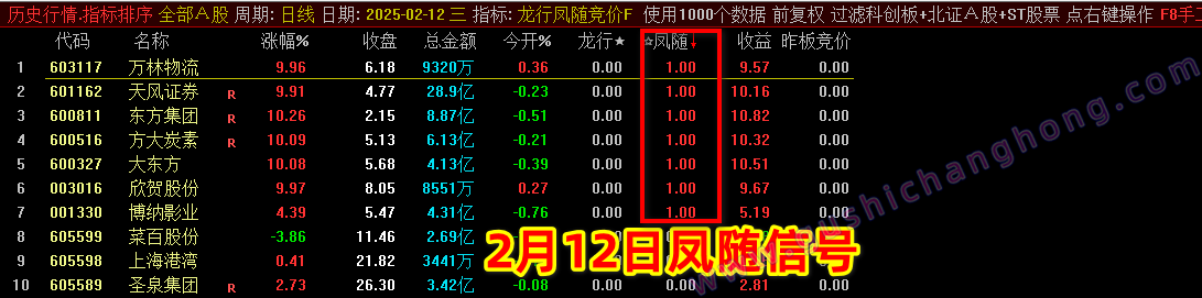 2025龙行凤随指标