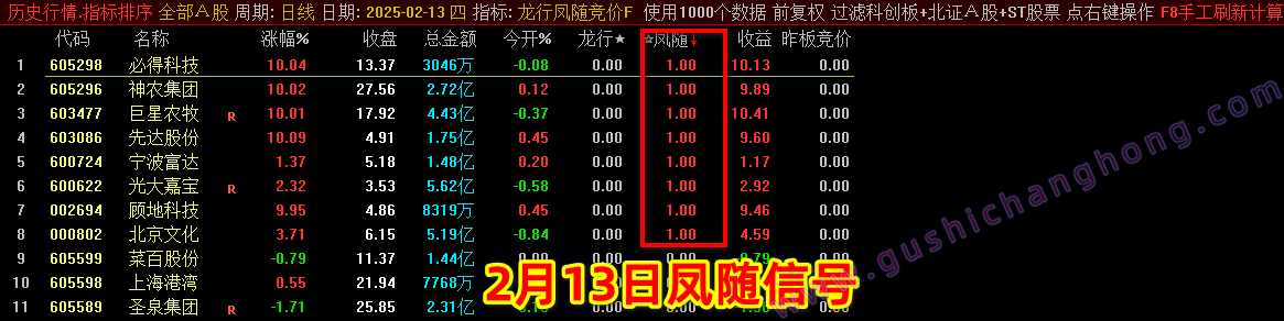 2025龙行凤随指标