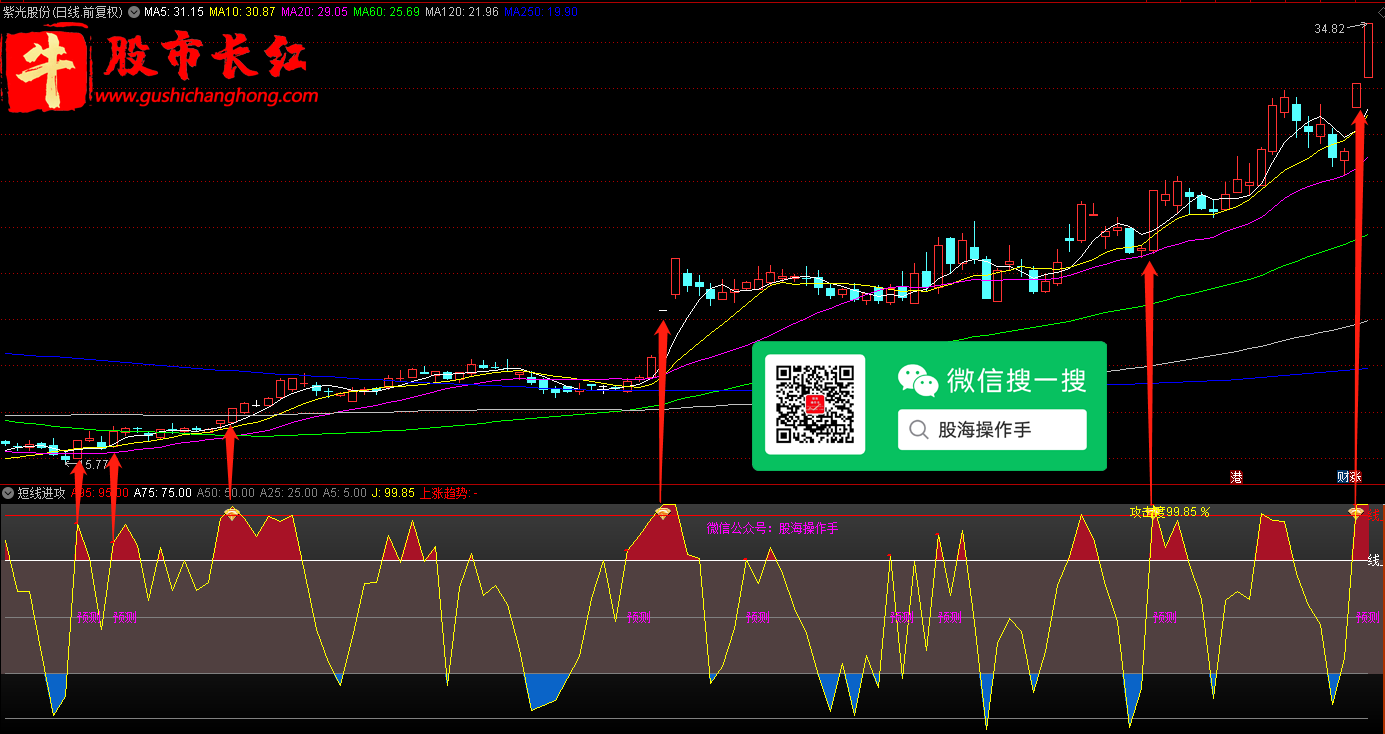 股市长红网-图示4.png