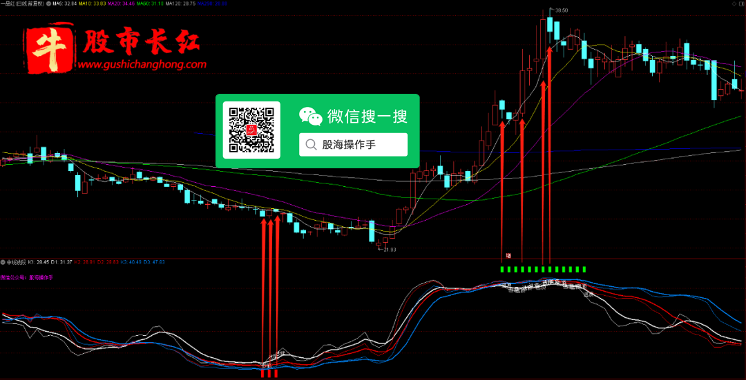 中线常胜波段王