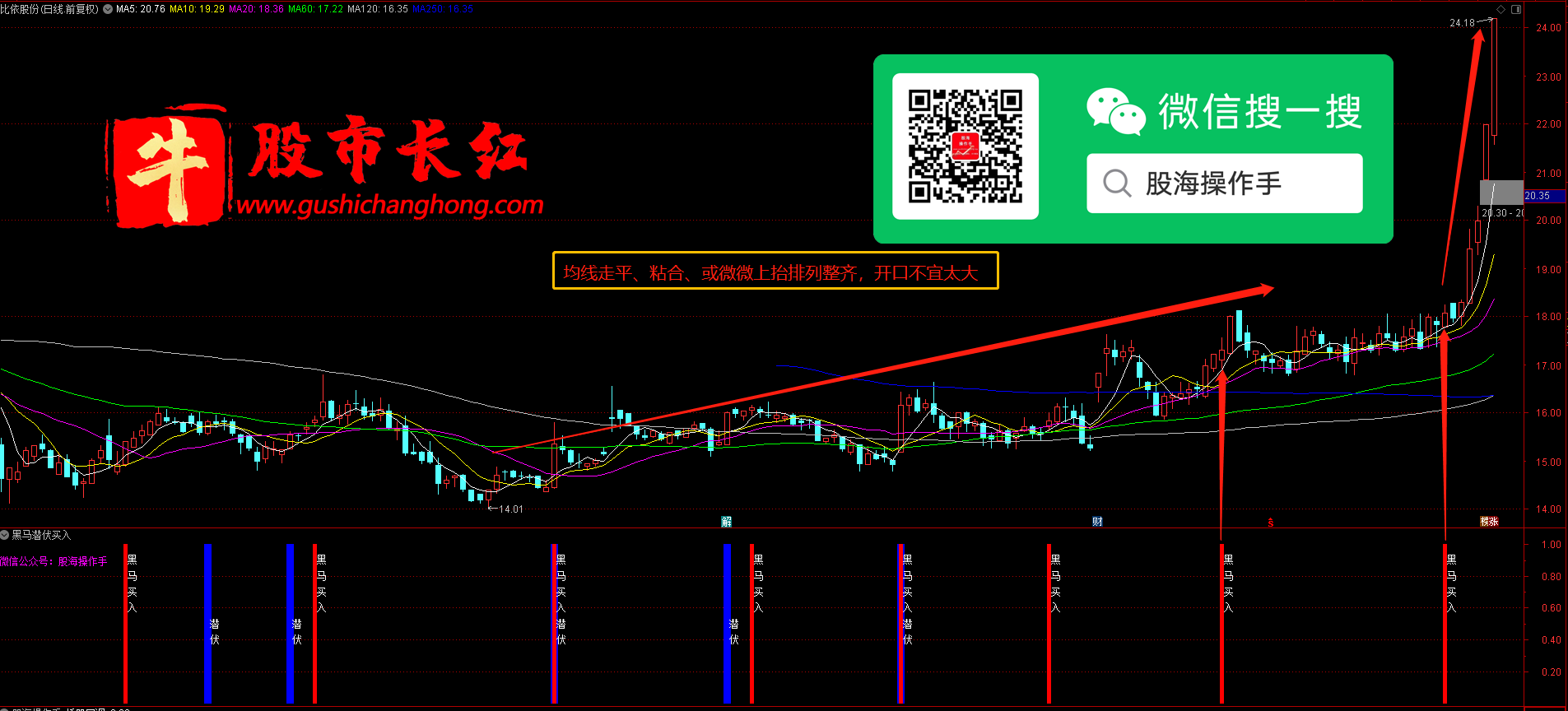 黑马潜伏买入图示