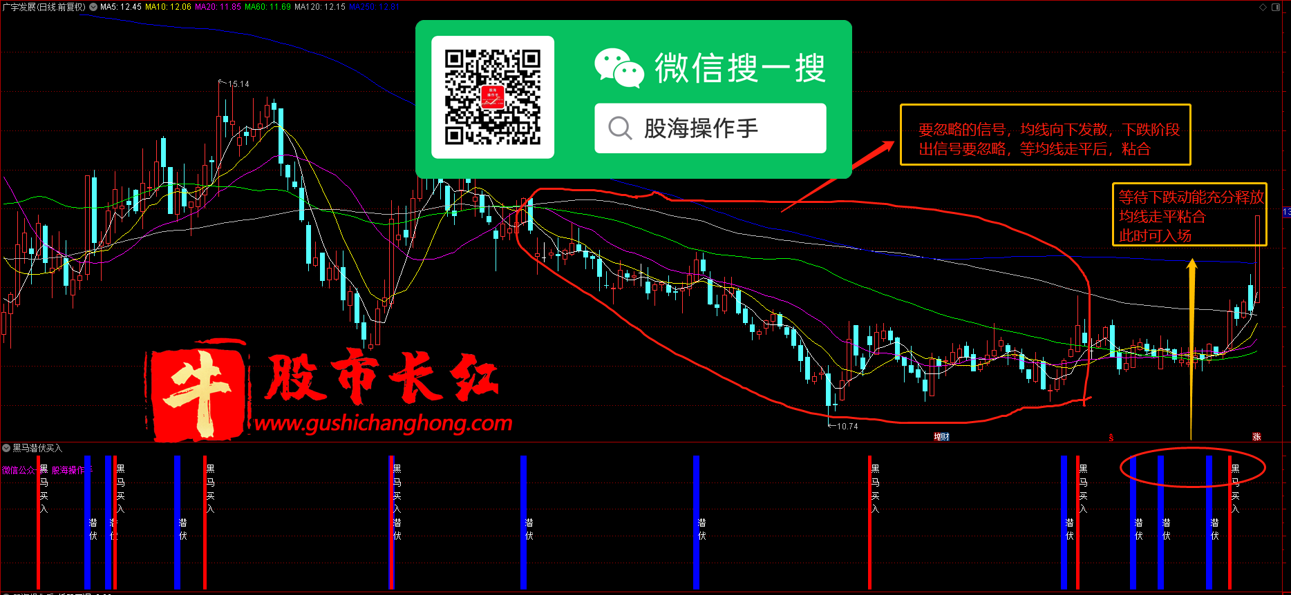 黑马潜伏买入图示