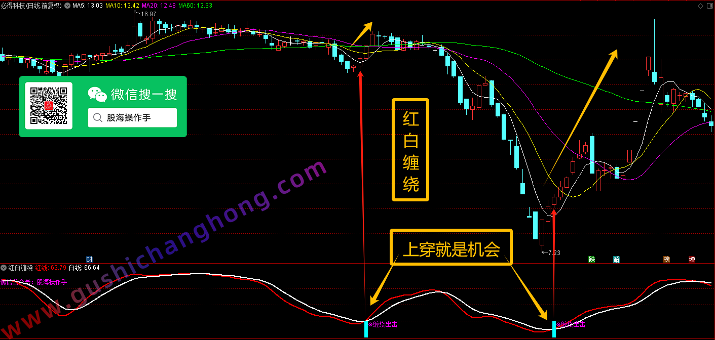 红白缠绕指标